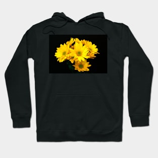 Floral portrait Hoodie